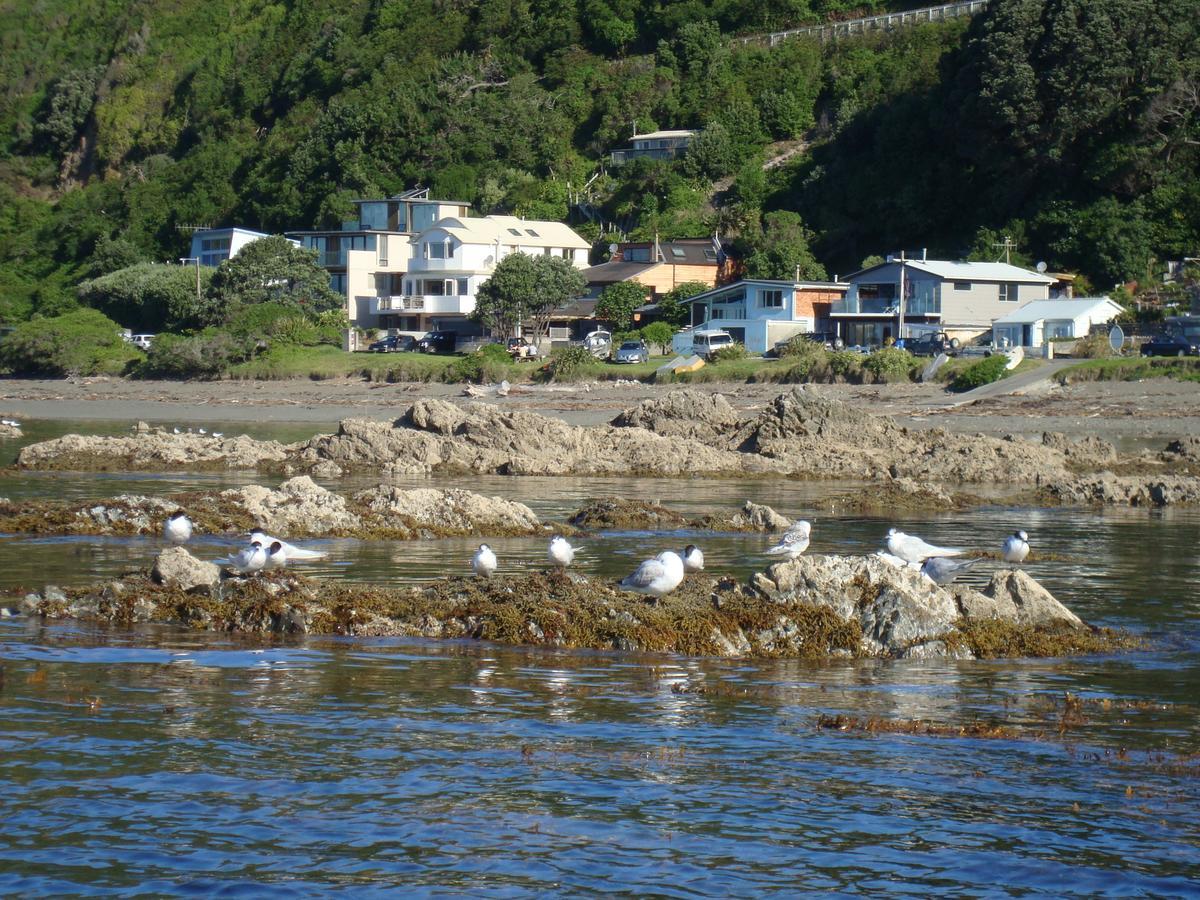 Kapiti Waves Bed & Breakfast Pukerua Bay Luaran gambar